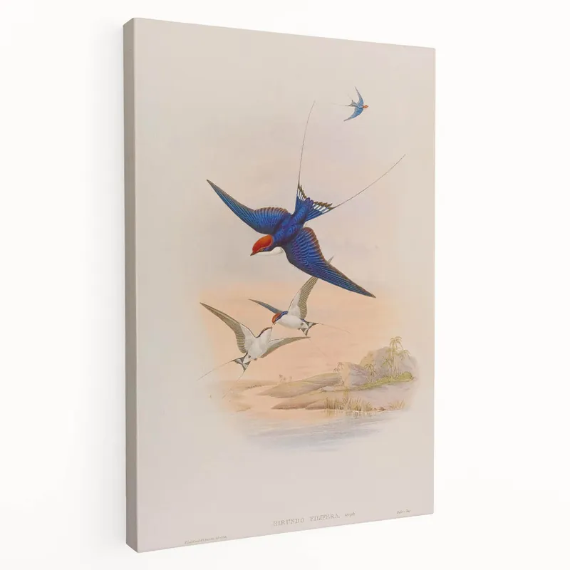 Trending Vintage Animal Art - Swallows in Flight - Retro Animal Prints