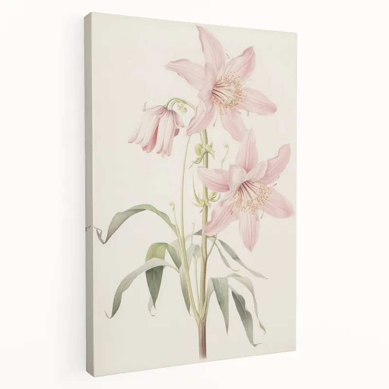 Vintage Botanical Art Print: Delicate Lily Floral Illustration Bargain