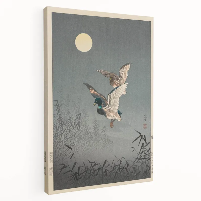 Low Price Vintage Animal Art - Ducks in Flight Illustration - Retro Animal Prints