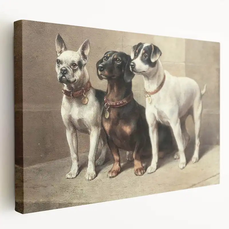 Seasonal Sale Vintage Animal Art: Trio of Dogs – Retro Wildlife Illustration