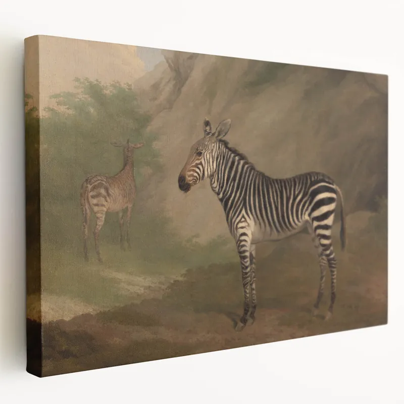 No Minimum Order Vintage Animal Art - Majestic Zebra in Nature Antique Print