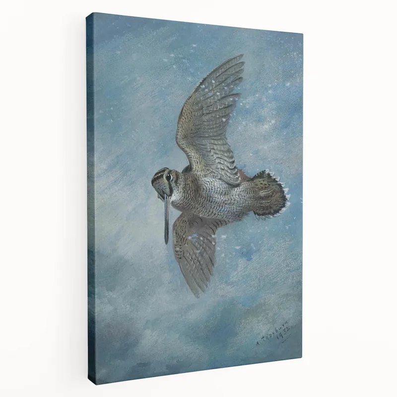 Vintage Animal Art: Bird in Flight Illustration for Home Decor Wholesale