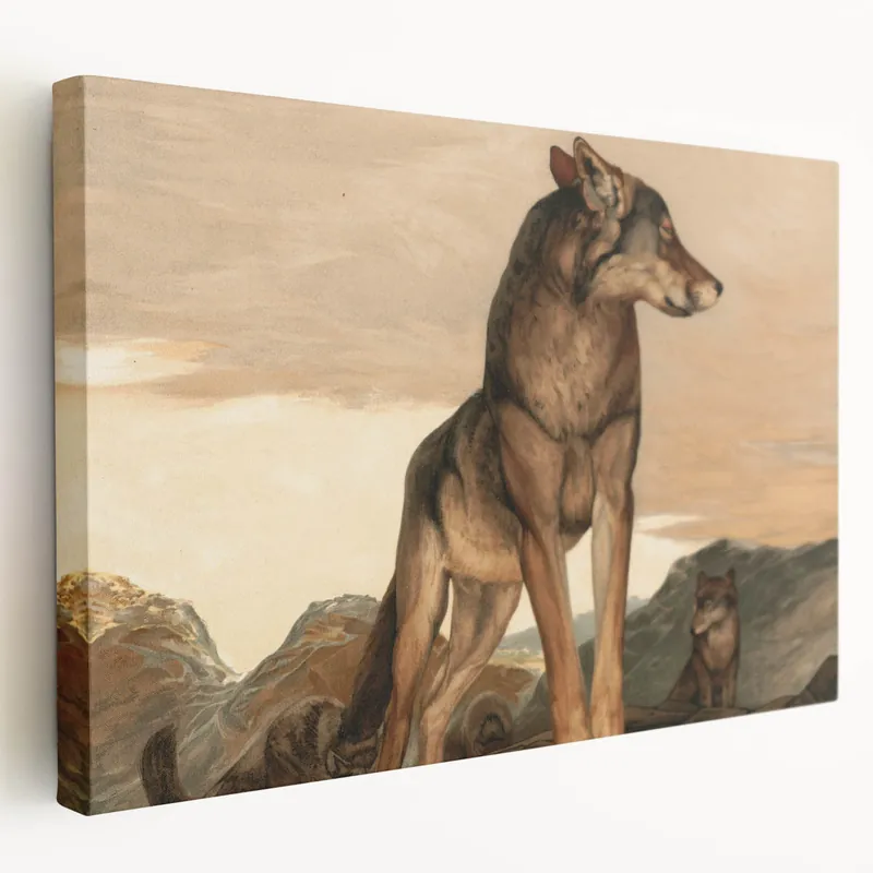 Vintage Animal Art: Retro Wolf Illustration for Wilderness Decor Budget