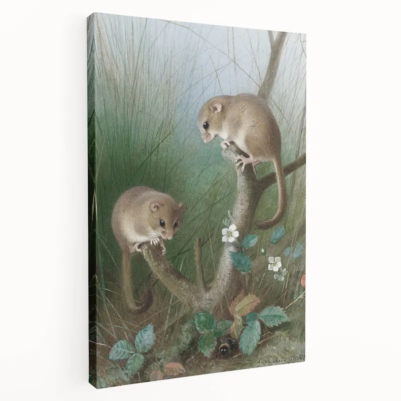 Seasonal Sale Vintage Animal Art: Mice Antique Wildlife Print for Classic Decor