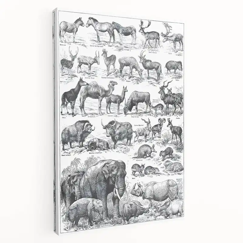 Vintage Exotic Animal Illustration Art Print – Wildlife Wall Decor Today Only
