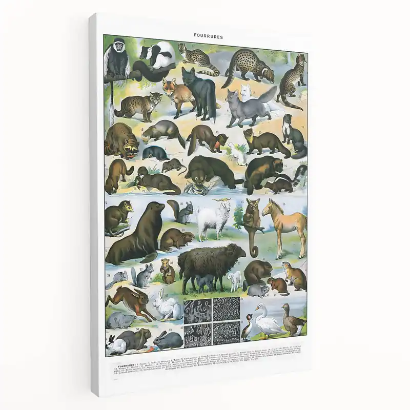 Today Only Vintage Furry Animal Art Print – Retro Wildlife Wall Decor
