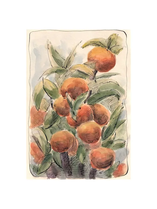 Today Only Oranges