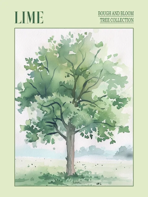 Hassle-Free Returns Lime Tree Atmospheric Watercolour Painting 4 Poster