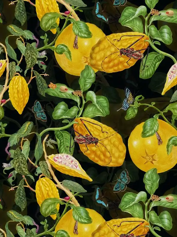 Weekend Sale Maria Sibylla Merian Lemons And Insects