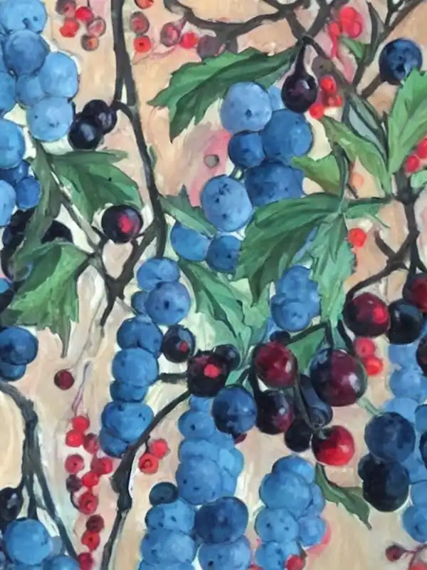 Authentic Blackcurrant Classic 2 Fruit