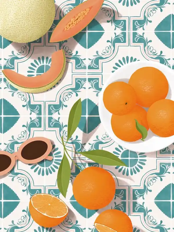 Oranges And Melon Illustration Direct From Factory