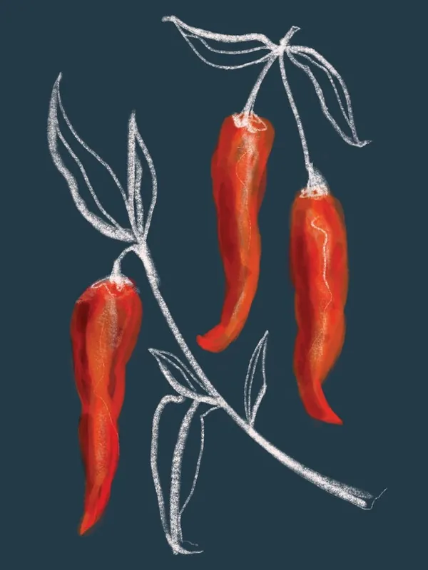 Chili Kitchen Set Navy And Red Popular