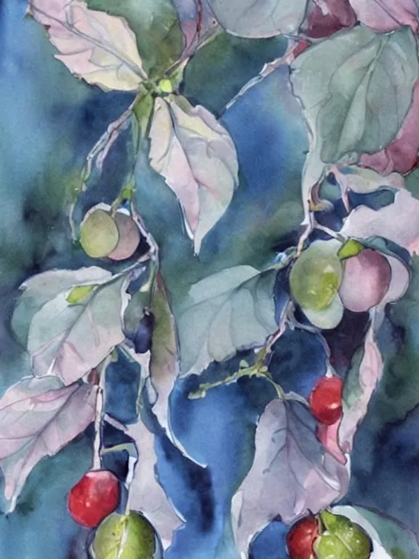 Gooseberry 2 Classic Fruit High Quality