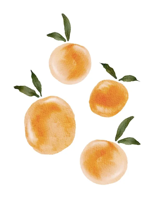 Watercolor Oranges Best Price