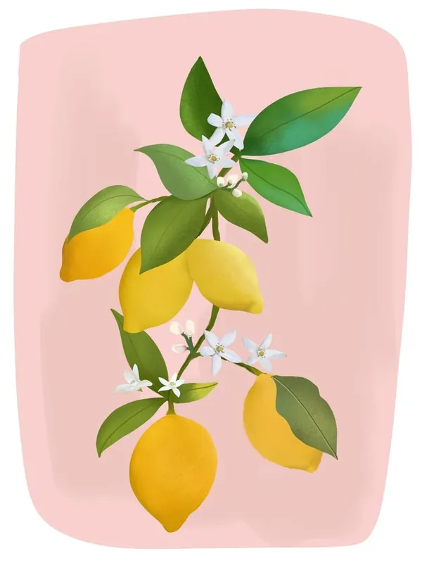 Super Sale Lemons