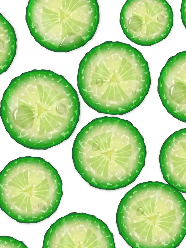 Cucumber Slices Secure Checkout