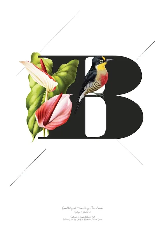 Botanical Alphabet B Top Rated