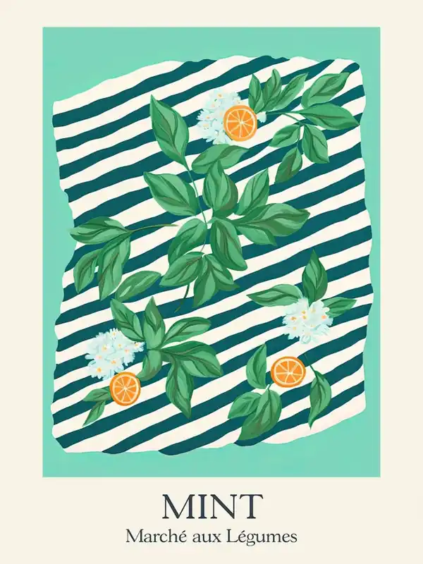 Marche Aux Legumes Mint Summer Illustration 6 Budget