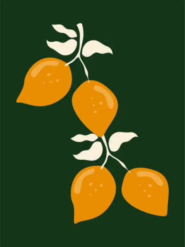 Three Oranges On A Branch Best Seller