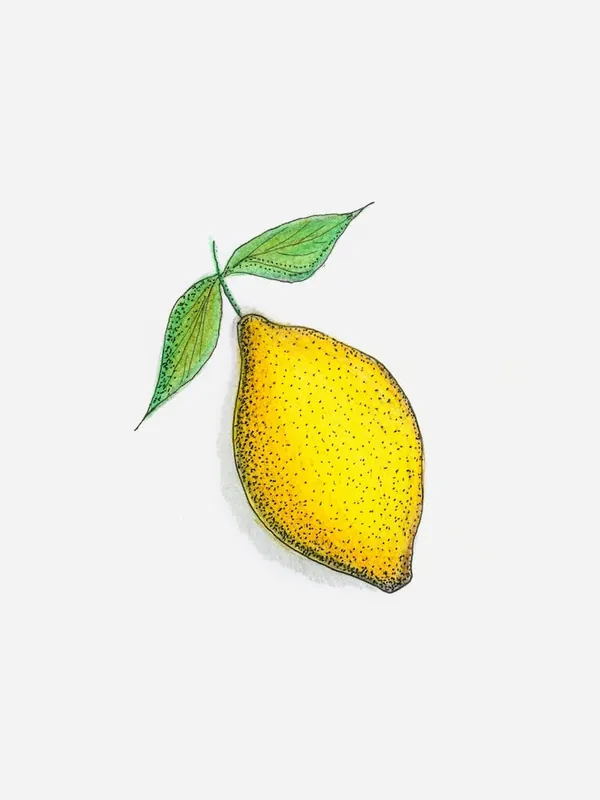 Low Price Lemon