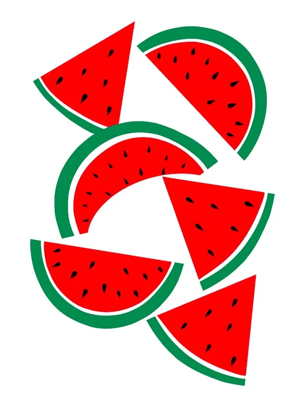 Top Pick Watermelon Slices Summer
