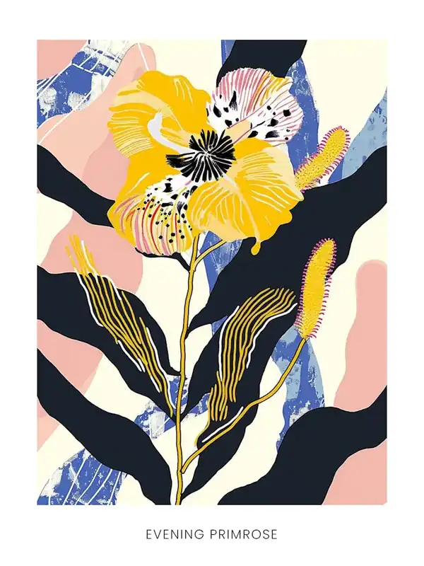 Best Choice Colourful Flower Illustration Poster Evening Primrose 3