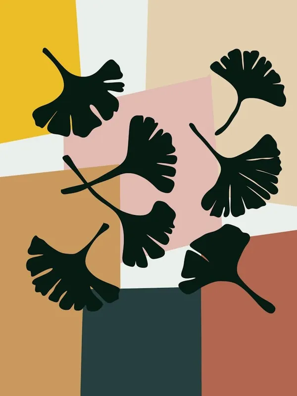 Premium Ginkgo Leaves