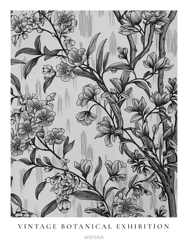 Wisteria 2 B&W Vintage Botanical Poster Affordable