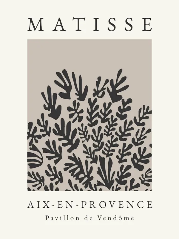 Matisse Print Black 2 Budget