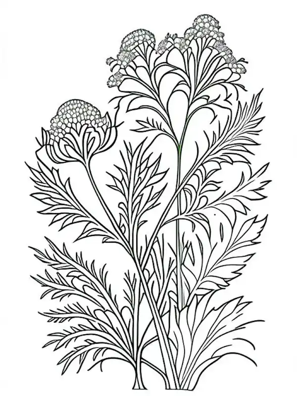 Valerian Herb William Morris Inspired Line Drawing 1 No Minimum Order