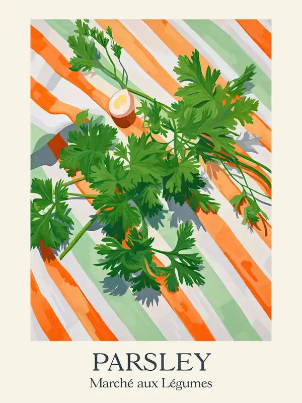 Time-Limited Marche Aux Legumes Parsley Summer Illustration 4