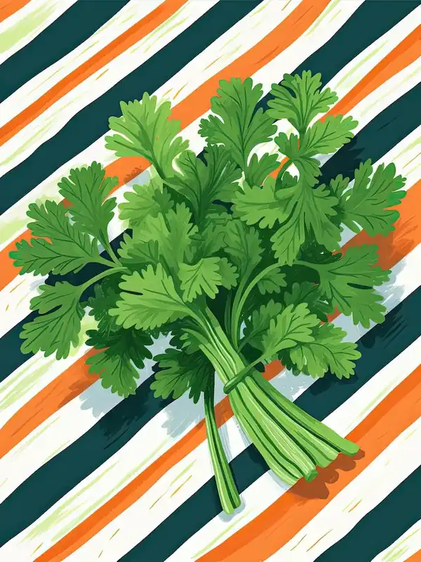 Cilantro Summer Illustration 3 Wholesale
