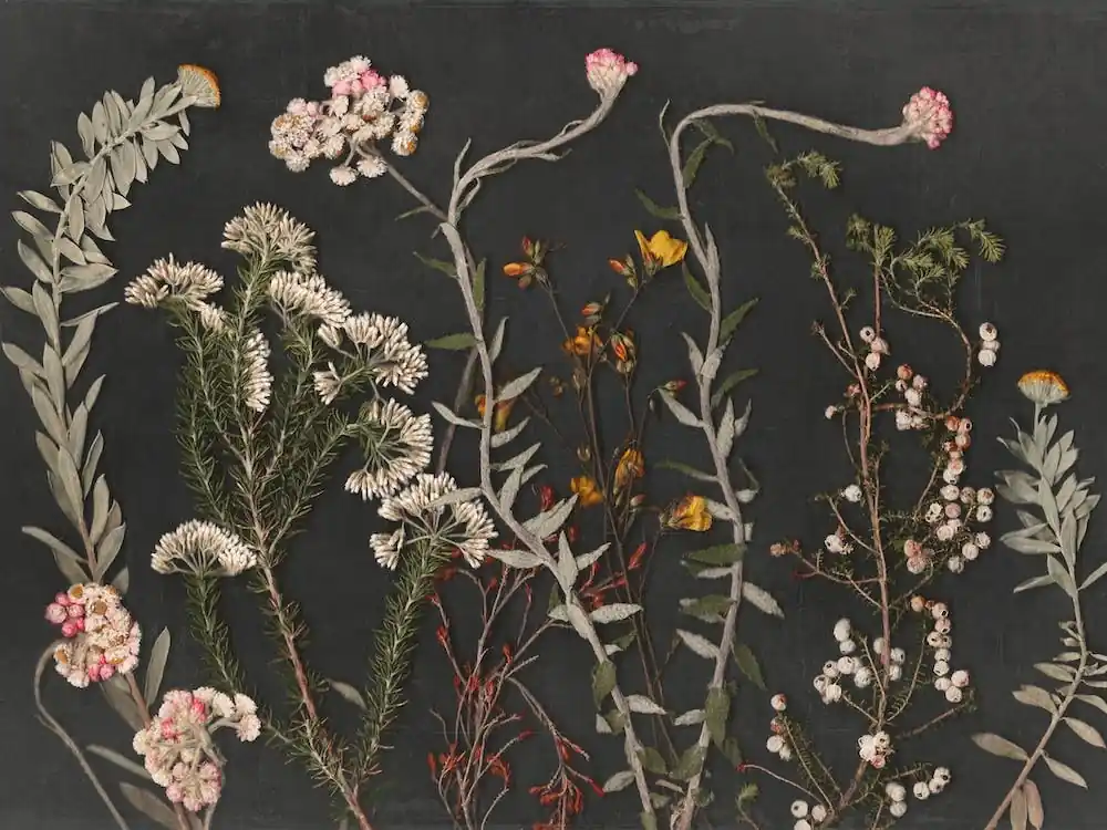 Night Garden Ls 2 Markdown