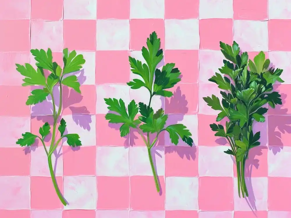 Viral Loose Herbs Pink Checkerboard 2