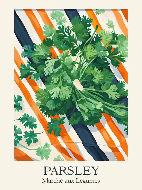 Price Drop Marche Aux Legumes Parsley Summer Illustration 6