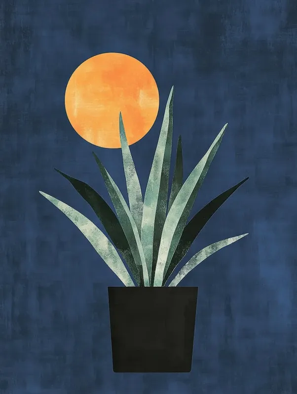 Clearance Aloe Plant