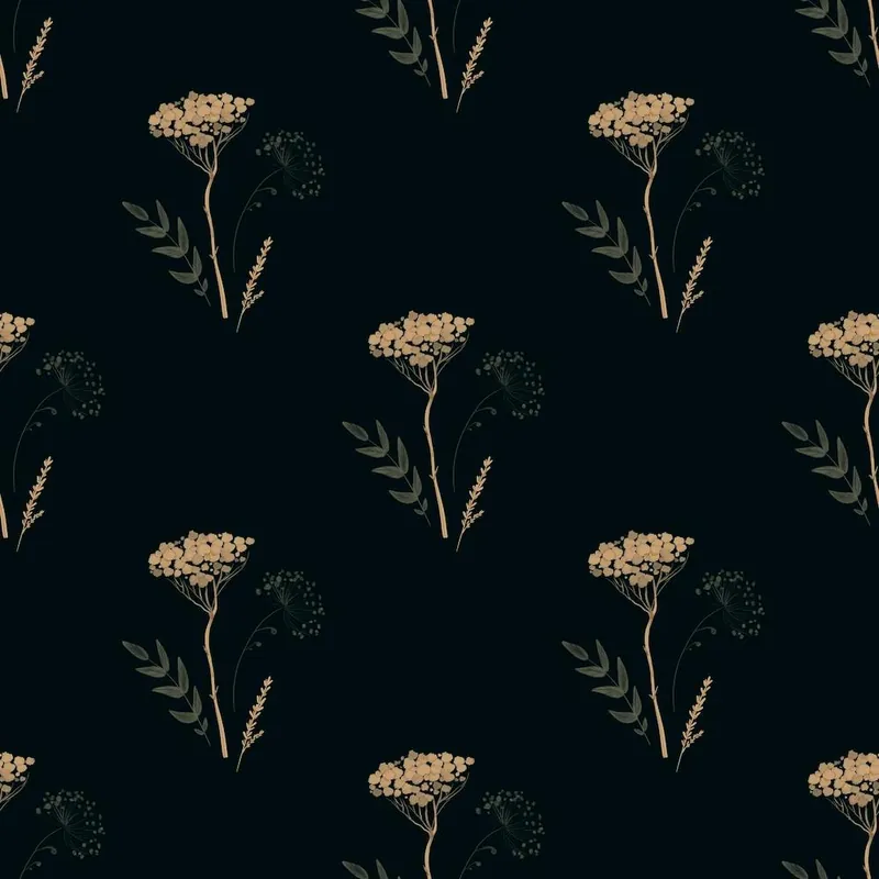 Yarrow on Black Background Last Chance
