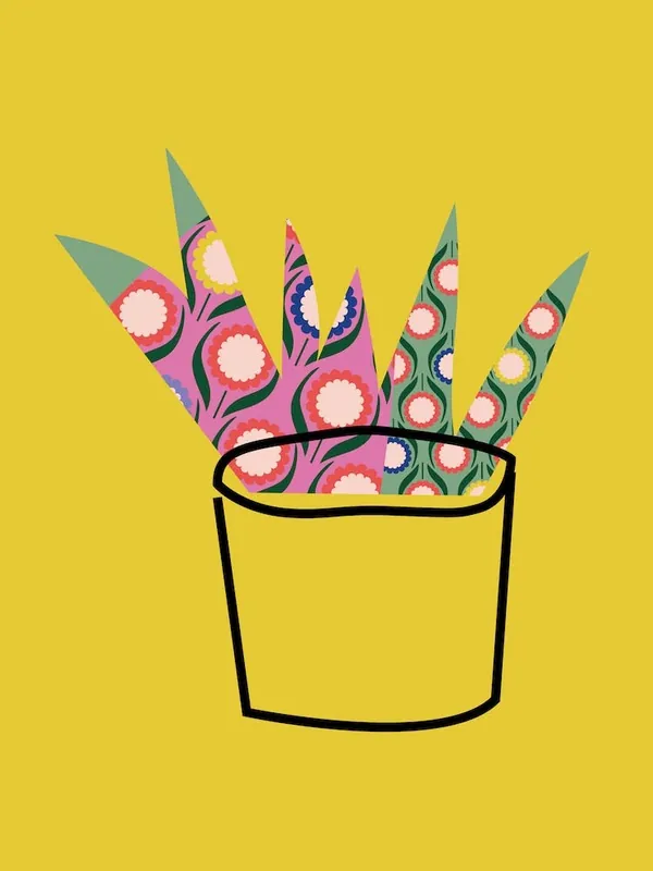 My Aloe Vera Affordable