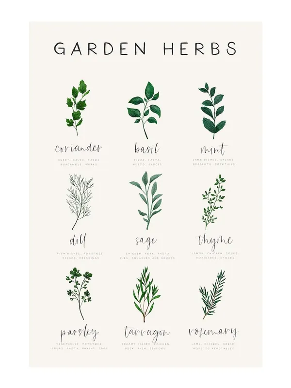 Place Order Garden Herbs And Kitchen Recipes