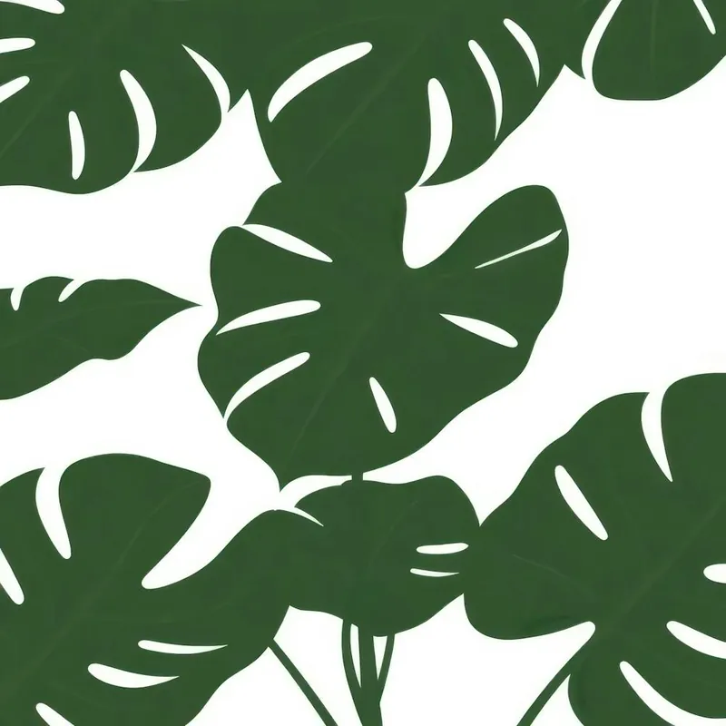 Monstera Leaves Low Price