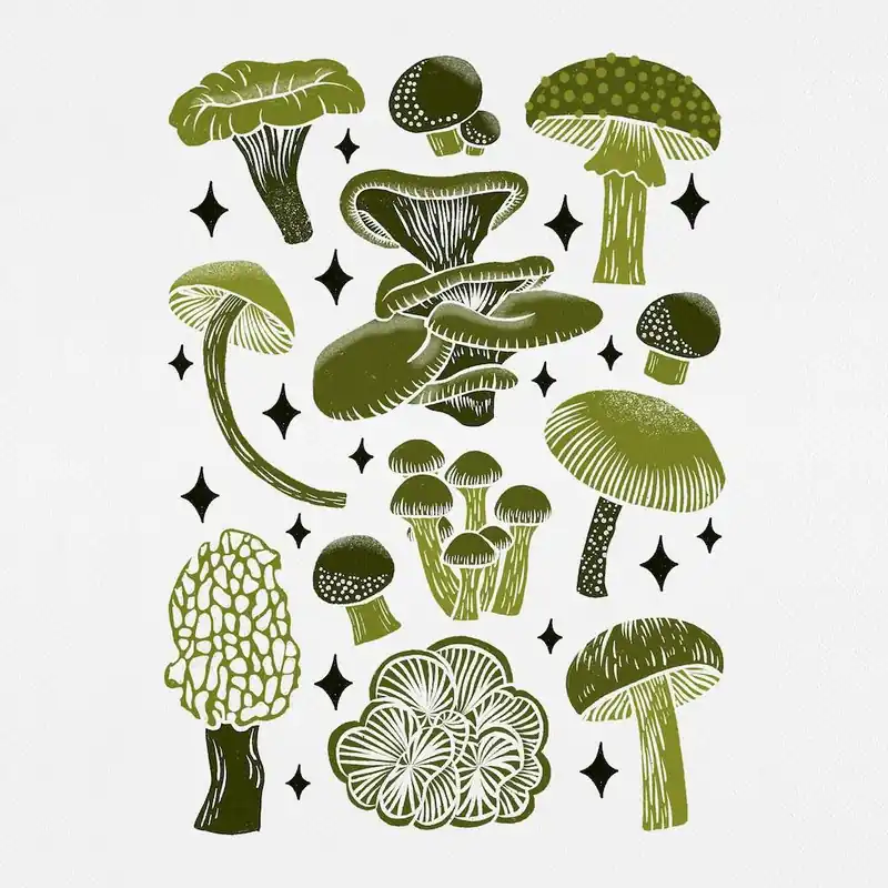 Texas MushroomsOlive Green Square Best Price