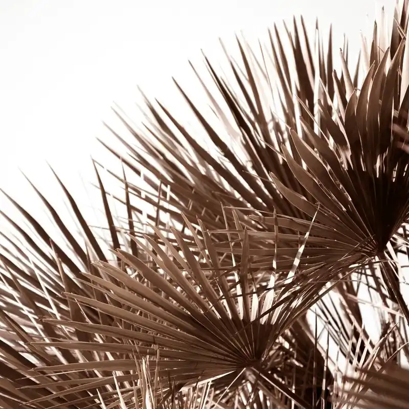 Secure Checkout Gorgeous Golden Palm Leaves Square