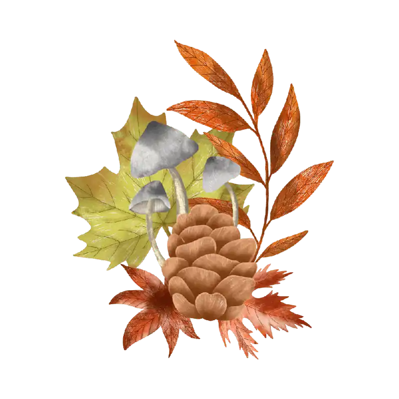 Fallen leaves Editor’s Pick