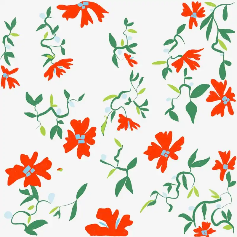 Buy Direct Red Flowers On A White Background