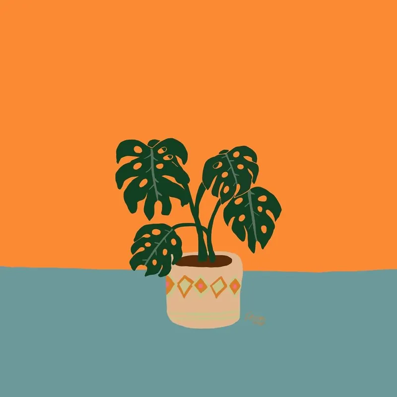 Monstera2 1 Weekend Sale