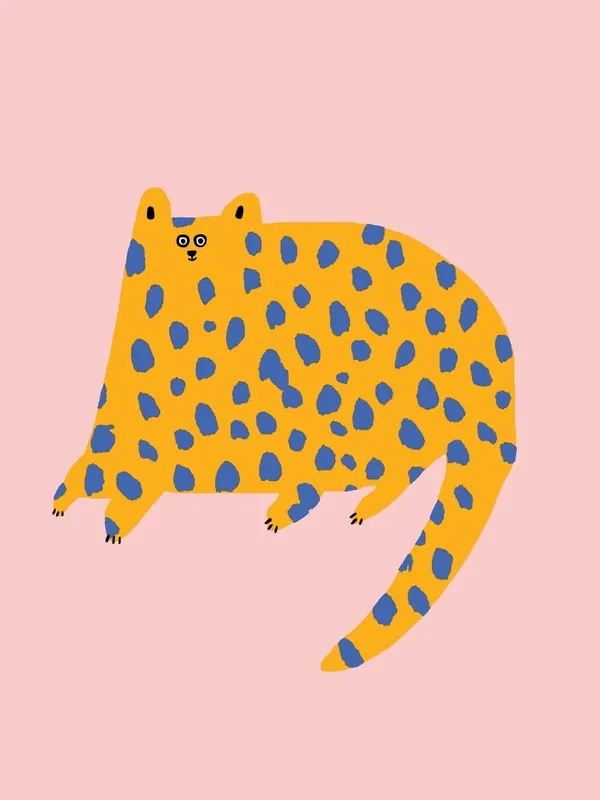 Dotty Cat Editor’s Pick