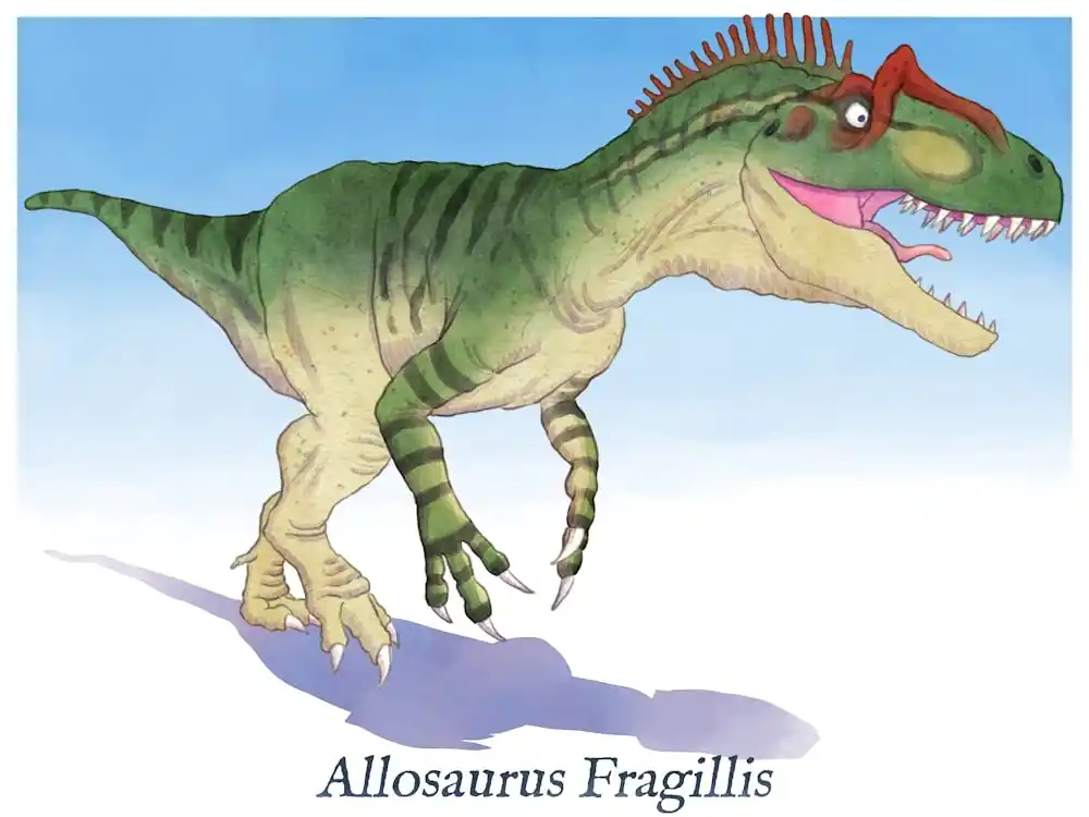 Certified Allosaurus Fragilis