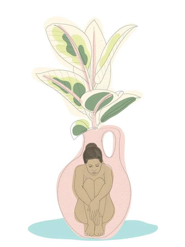 Warranty Included Vase With Rubber Plant