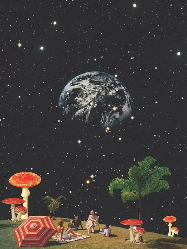 Lsd Original