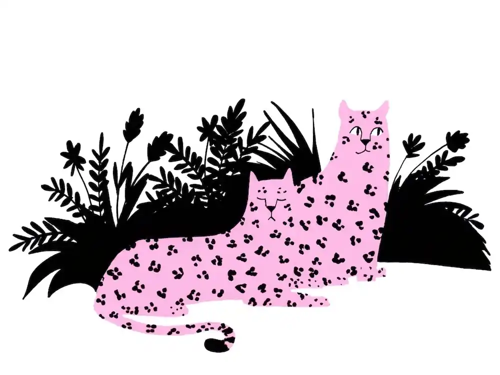 Direct From Factory Found Cheetahs